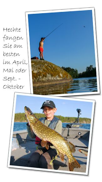 Der 3 Fisch im Leben - und dann gleich ein Hecht - gefangen im Lången See an unserem Sommerhaus in Schweden.